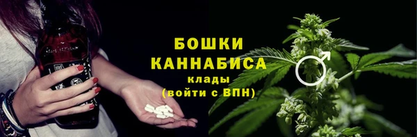 ГАЛЛЮЦИНОГЕННЫЕ ГРИБЫ Покров