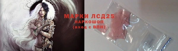 ГАЛЛЮЦИНОГЕННЫЕ ГРИБЫ Покров