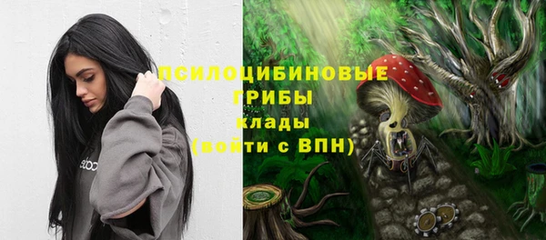 COCAINE Покачи