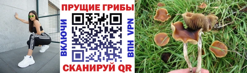 Псилоцибиновые грибы ЛСД  где можно купить наркотик  Солигалич 